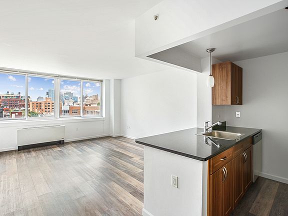 4th image of 229 Chrystie St APT 908