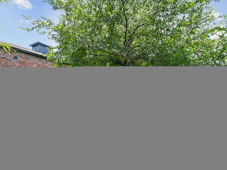 Cypress — Photo 21