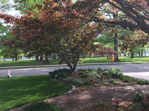 View of park