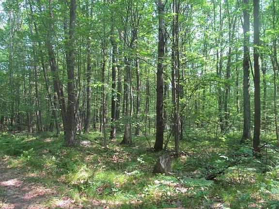 3rd image of ON BLUEBIRD RD #484 ACRES