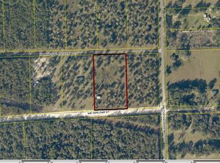 202 SW Meadowlands Dr, Lake City, FL 32024