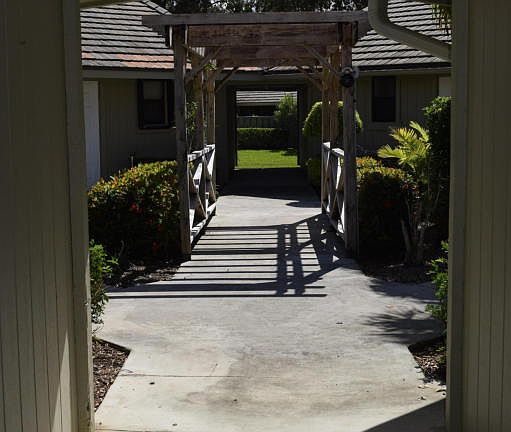 4th image of 1127 E Seminole Ave APT 17D