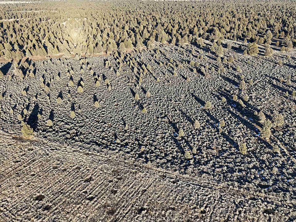 1st image of Xx Re Rock Rd