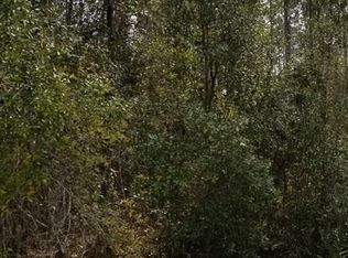 233 SE 1st St, Georgetown, FL 32139