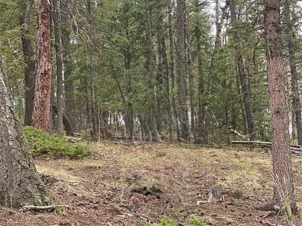 126 Glenwood Ln, Woodland Park, CO 80863