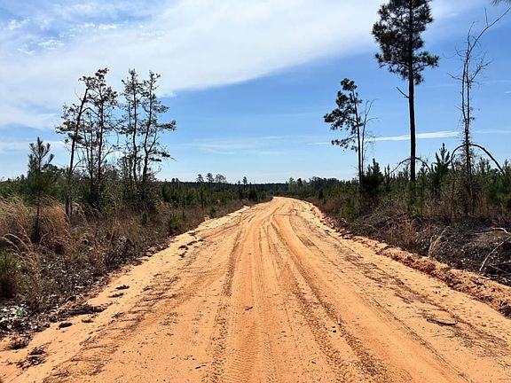 3rd image of 0 County Road 421