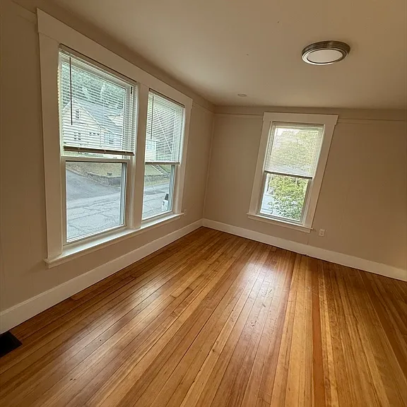 319 Canton St #2 — Photo 8