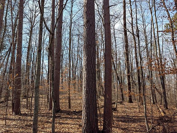 3rd image of 00 Larson Rd
