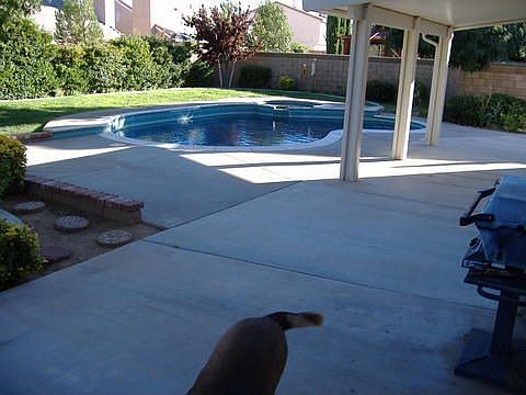 Awesome yard, Pool, Spa