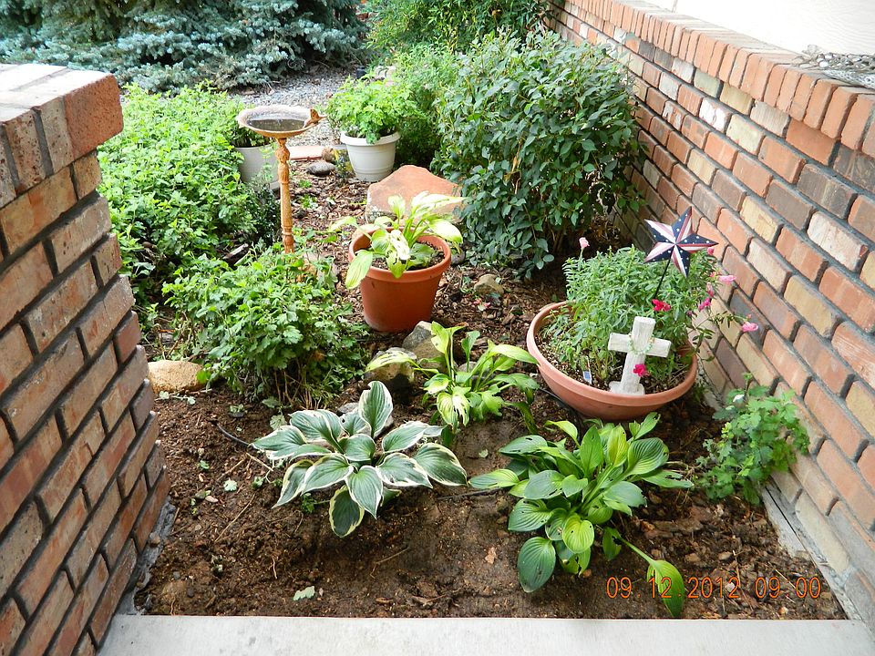 front shade garden -entry