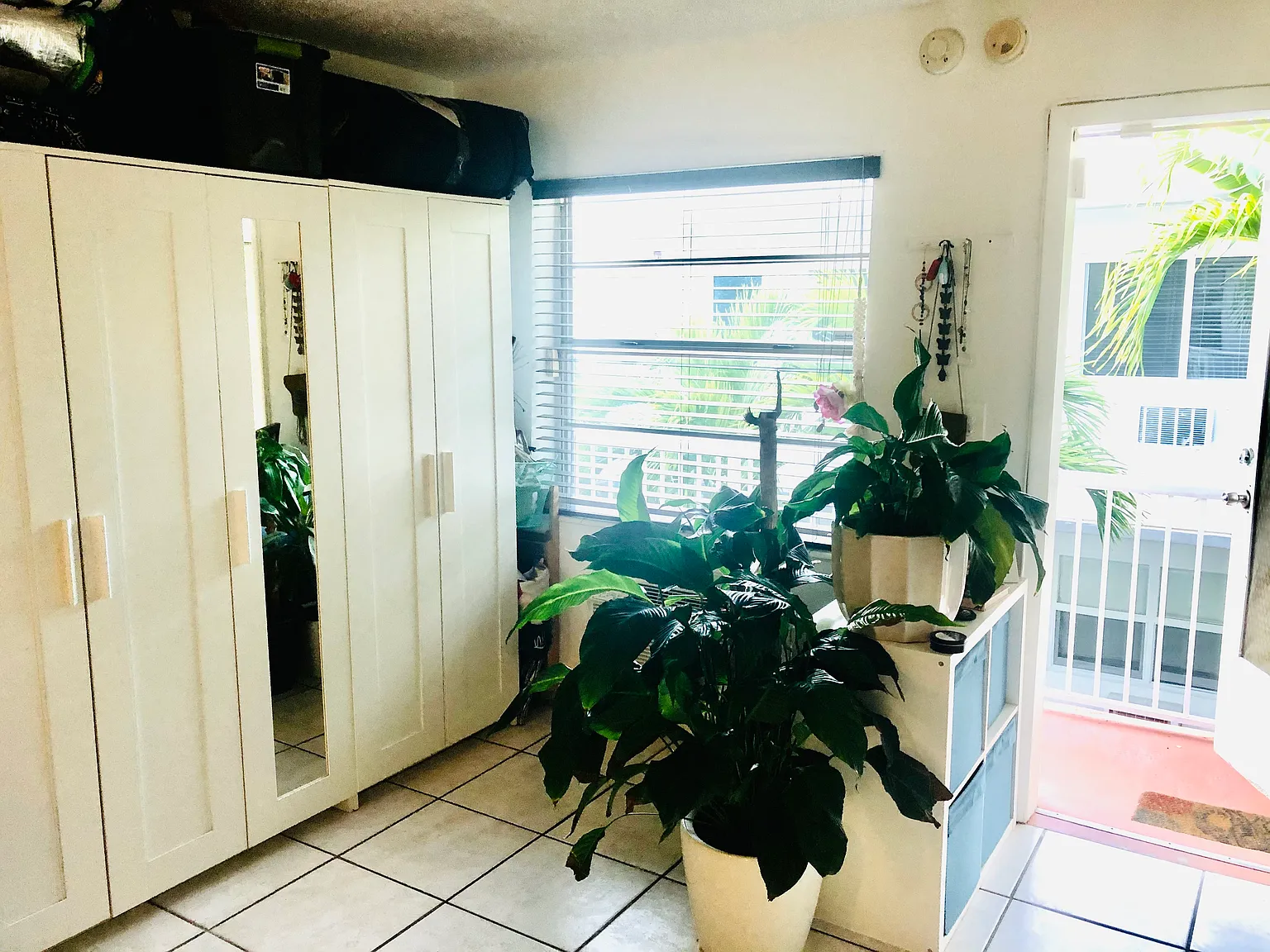 Studio, 390 sqft, $1,900 — Photo 4