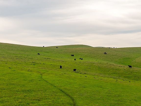 5th image of 8050 Bitterwater Rd