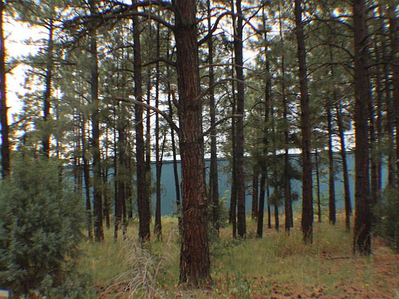 3rd image of 5348 White Mountain Ave