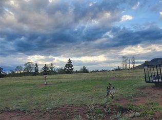 3243 County Road 86, Victor, CO 80860
