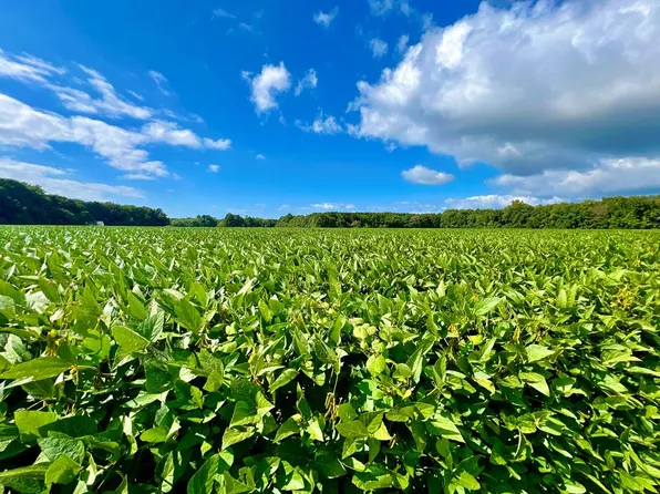 LOT 148 County Rd, Parksley, VA 23421