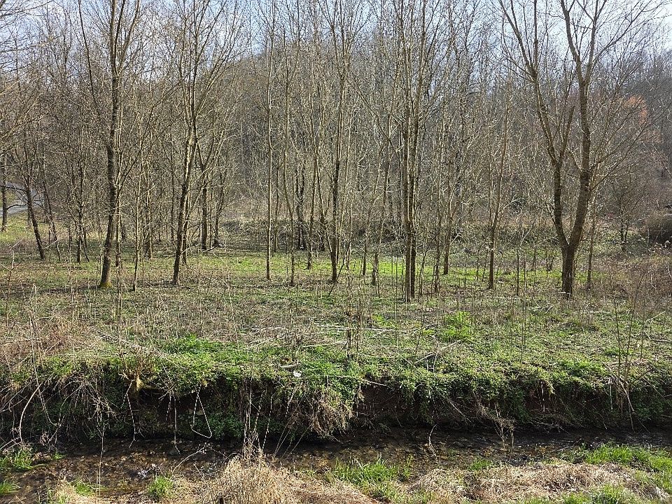 2nd image of 0 Austin Hollow Rd