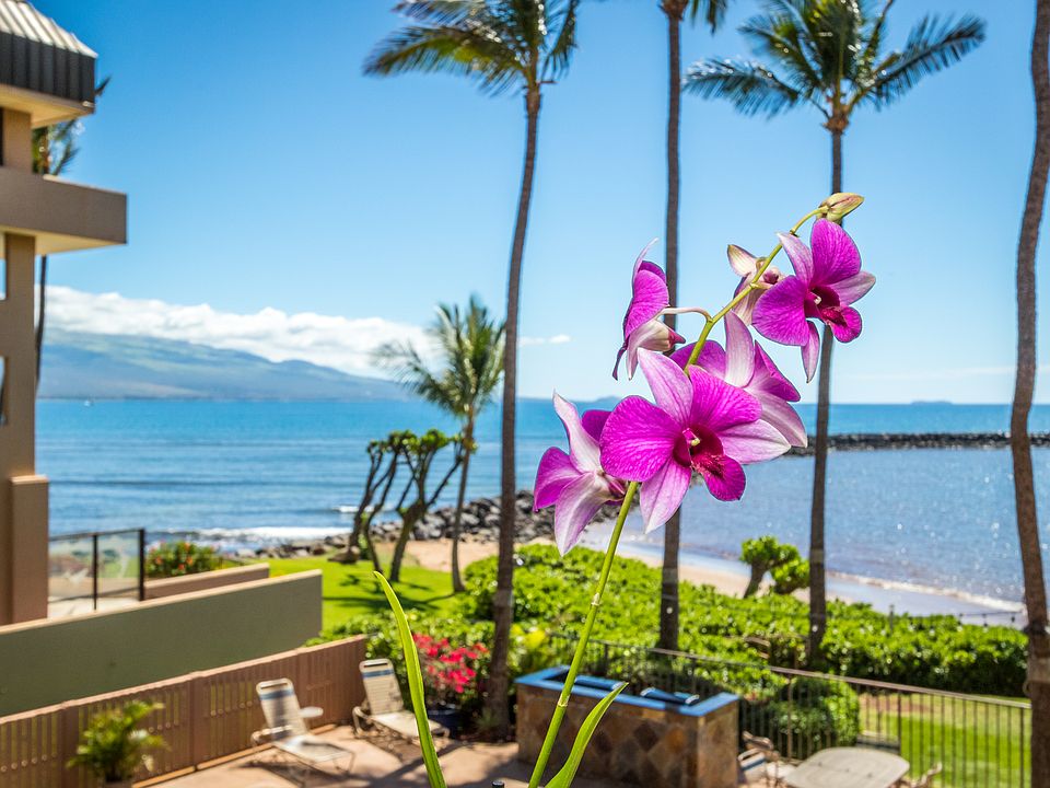 1st image of 30 Hauoli St APT 204