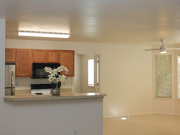 Living Room to Kitchen & Dining Area