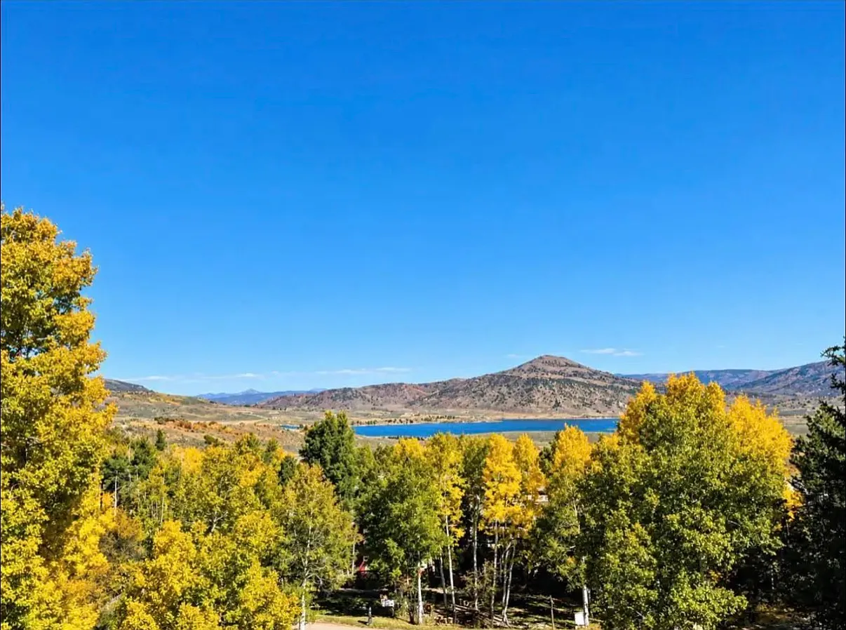 3 bed, 1622 sqft, $3,300 — Photo 4