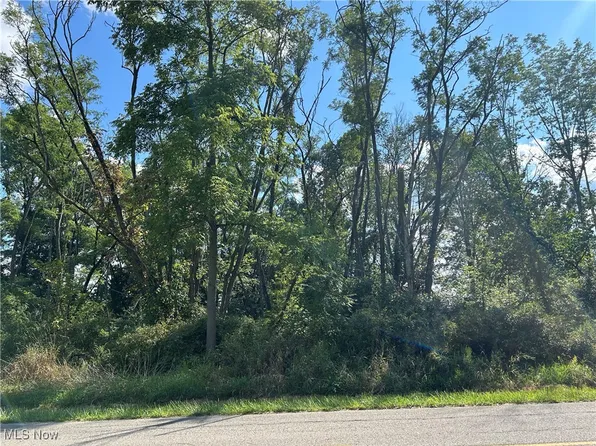 N Palmyra Rd, North Jackson, OH 44451