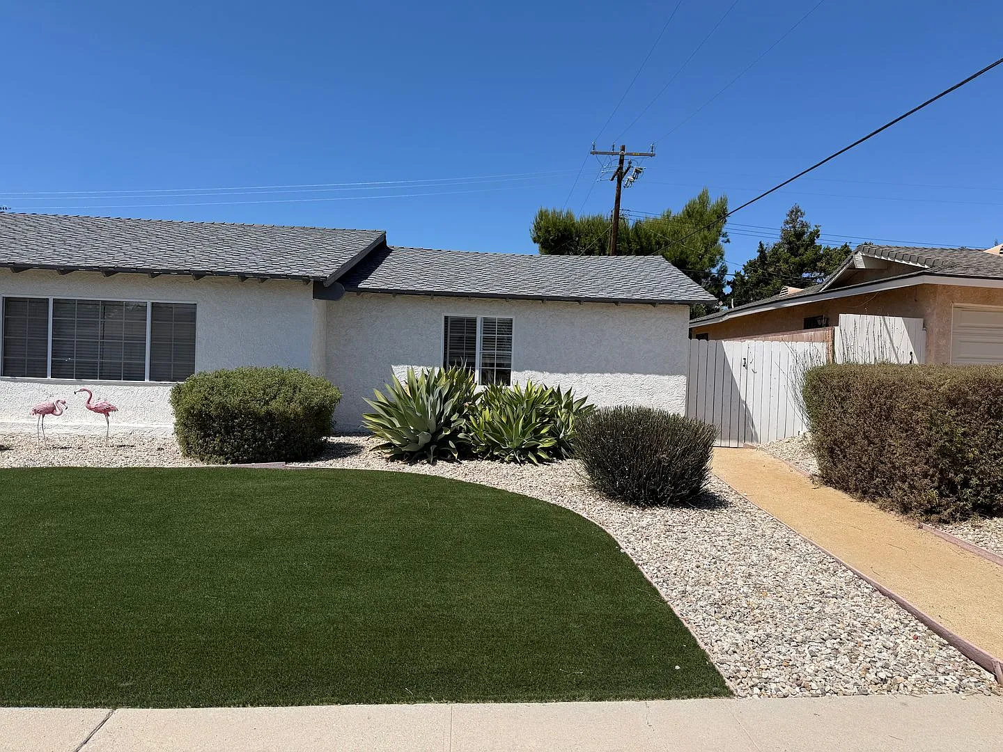 Beautiful 2 bed, 1 bath with yard — Photo 3
