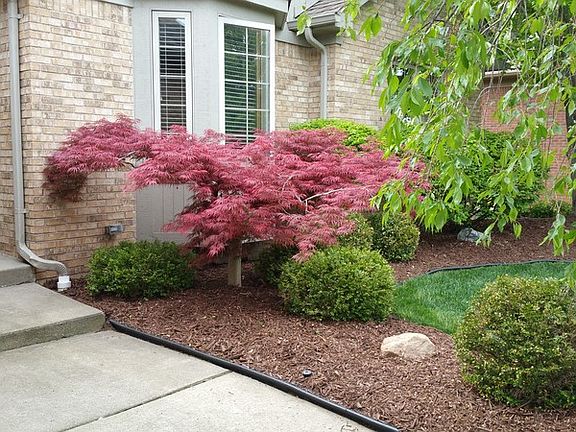 3rd image of 47279 Cherry Valley Dr