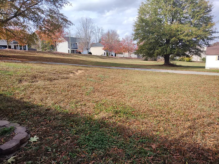 Back yard