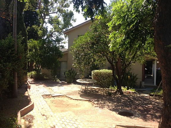 Side yard looking back