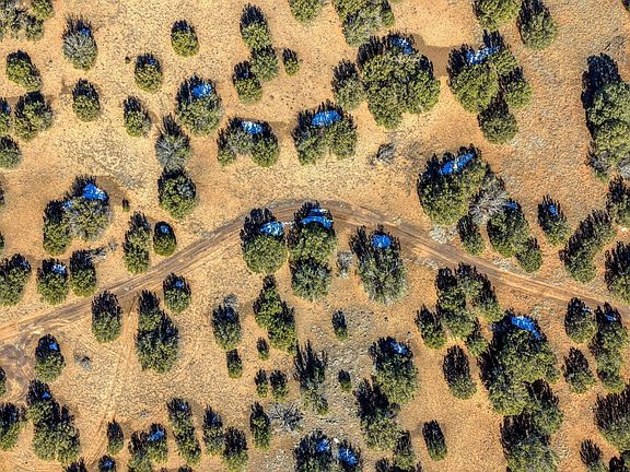 5th image of 2076 Supancheck Rd