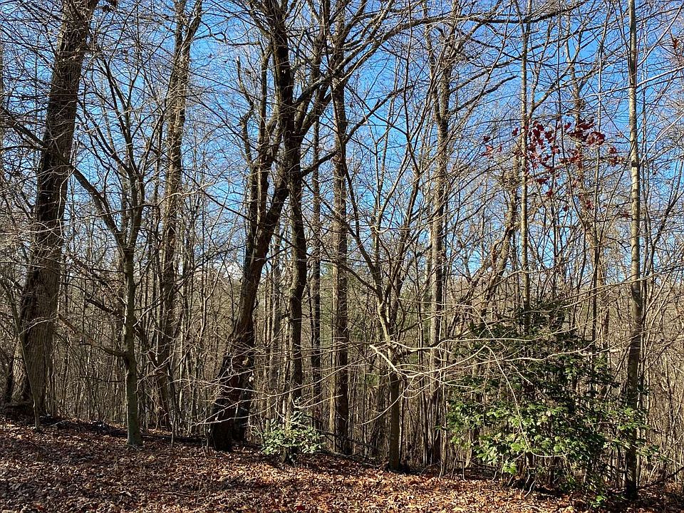 2nd image of 5 Toccoa Preserve Ln