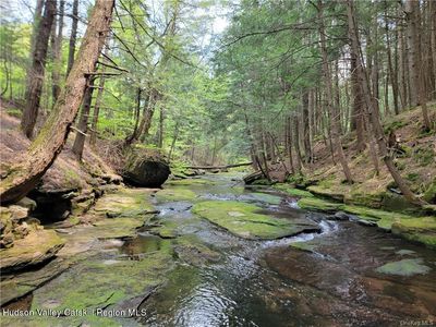 172 Eagles Ridge Way, Parksville, NY, 12768