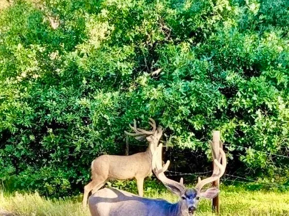 0 State Road 512, Tierra Amarilla, NM 87575