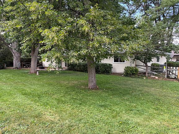 New paint fenced back yard