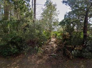 14 2nd Path LOT 1, Palm Coast, FL 32164