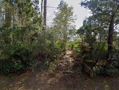 14 2nd Path Lot 1, Palm Coast, FL, 32164