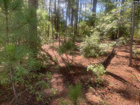 2nd image of 325 Little Creek Dr