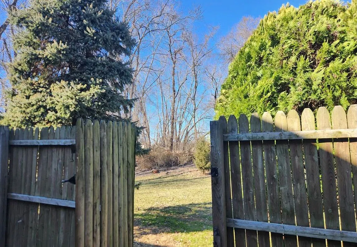3 bed, 2.0 bath, 1410 sqft, $2,900 — Photo 2