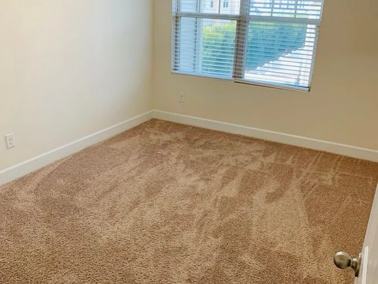 3008 Dressage Dr — Photo 52