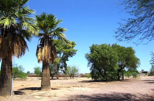 2nd image of 15334 W Tierra Buena Ln