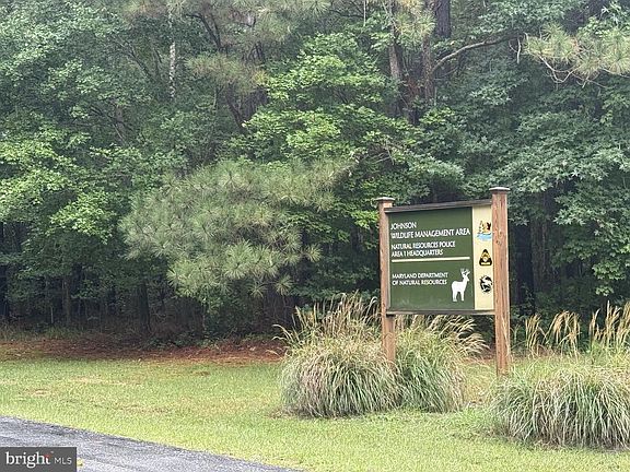 4th image of 32548 Mount Olive Rd