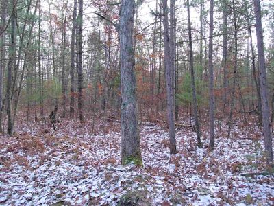 Goose Lake Rd, Indian River, MI, 49749