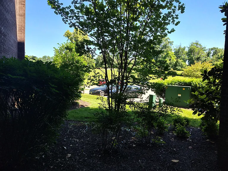 Residences at Pomona Park — Photo 88