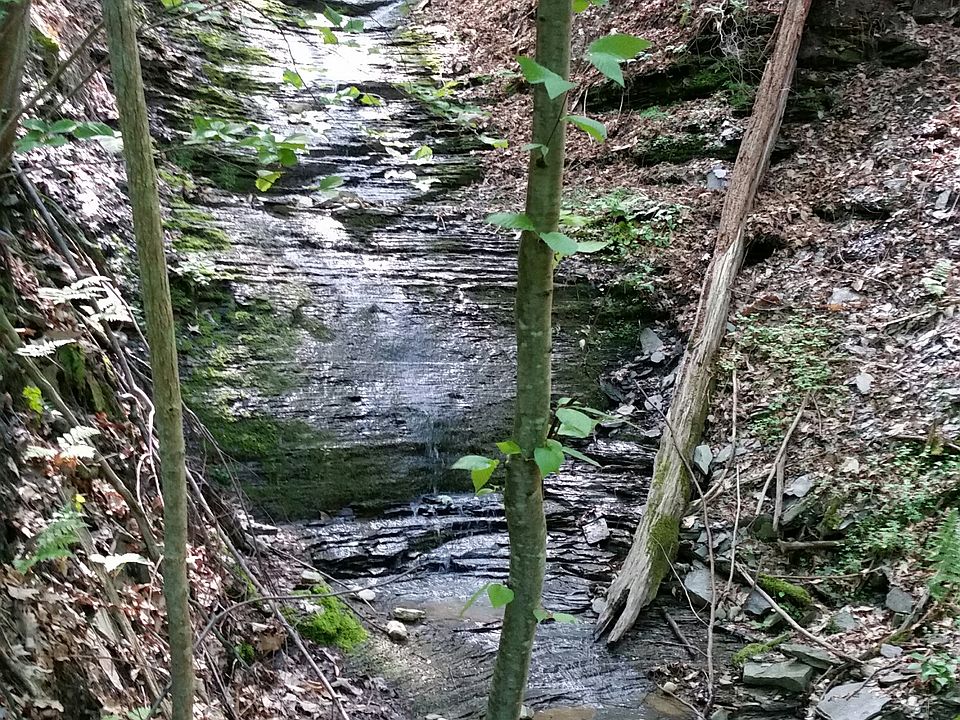 1st image of 6522 County Road 36