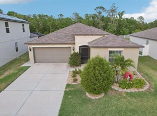 13405 Willow Bluestar Loop, Riverview, FL 33579