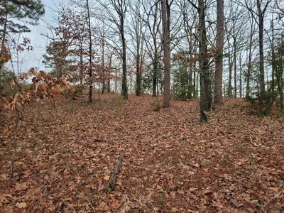 White Fir Rd, Gladewater, TX, 75647