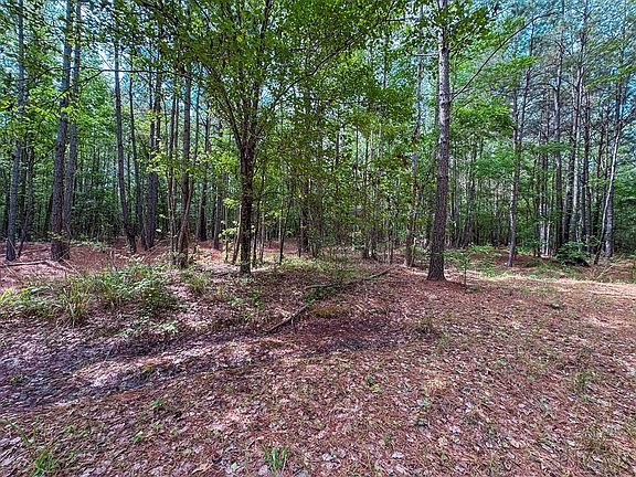 4th image of 2555 An County Rd #314
