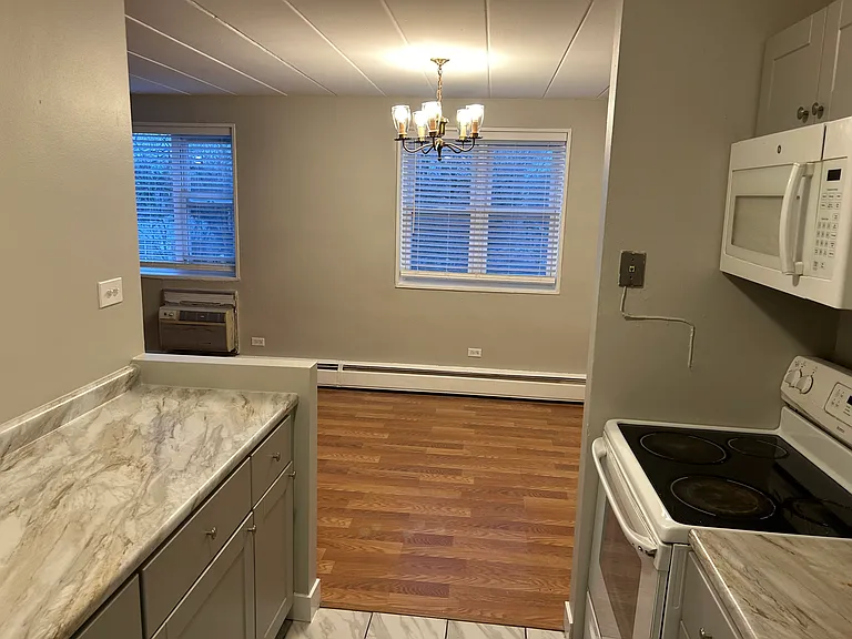 6160 N Damen Ave #408 — Photo 4