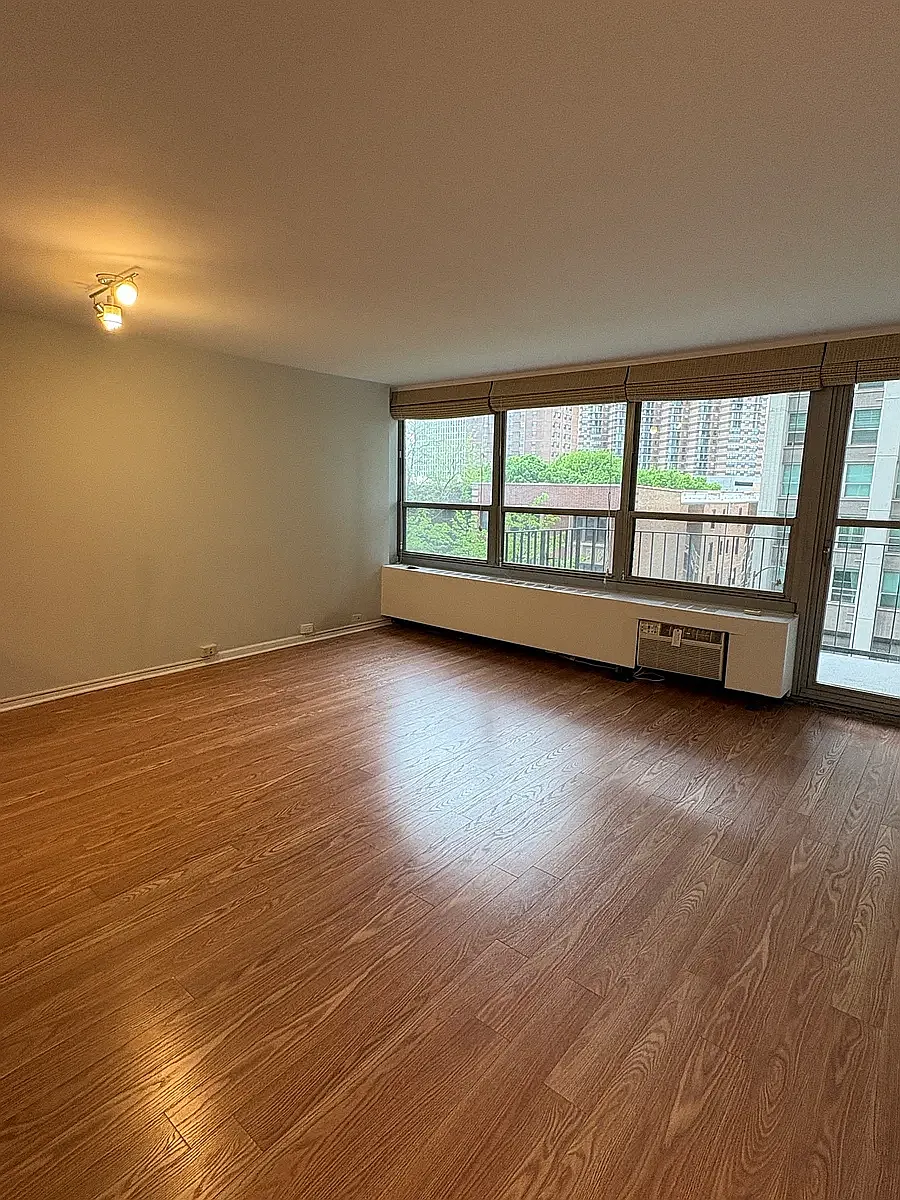 Building Photo - 3550 N Lake Shore Dr