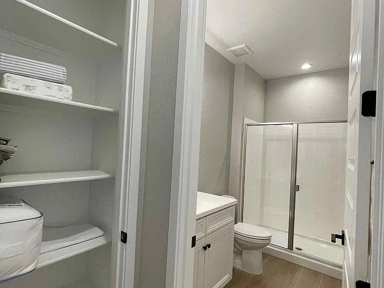 Downstairs Bathroom and closet