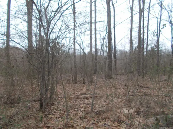 233 Saint Annes Dr, Benton, AR 72015